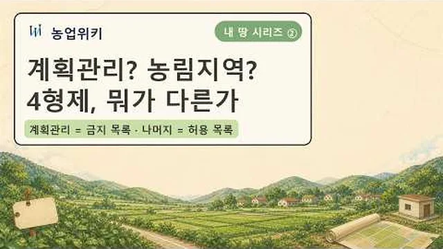 유튜브 영상 썸네일
